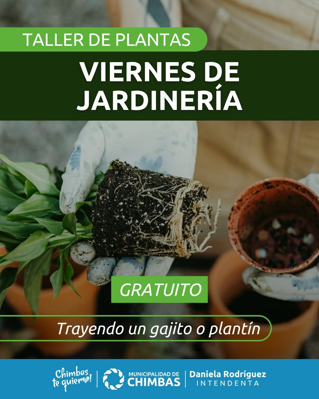 TALLER DE PLANTAS