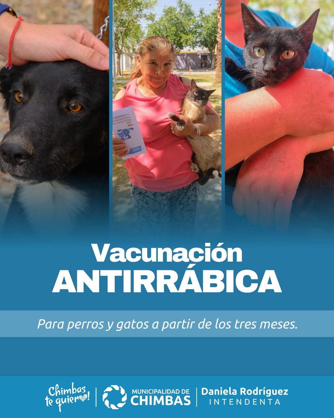 vacunaciÓn antirrÁbica