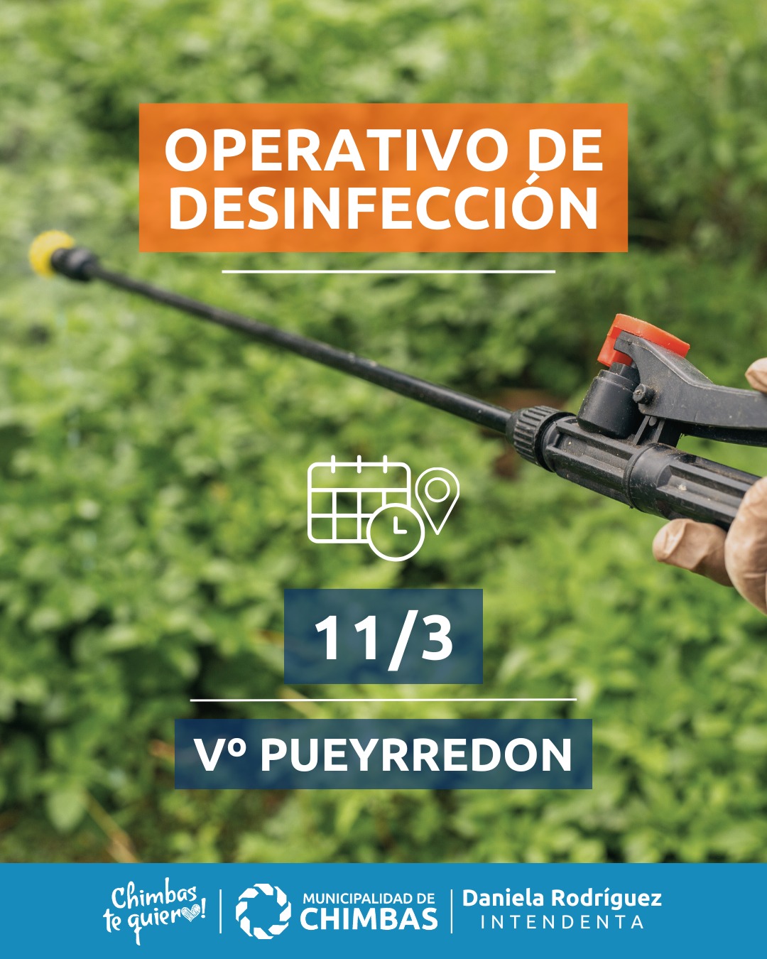 servicio de desinfecciÓn