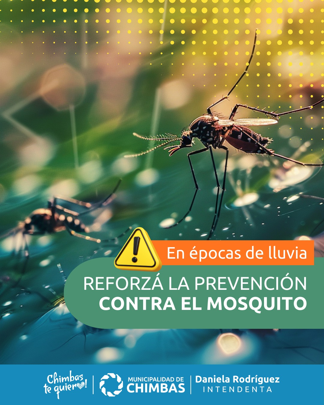 prevenciÓn contra los mosquitos